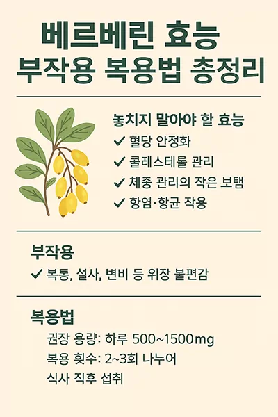 베르베린 효능