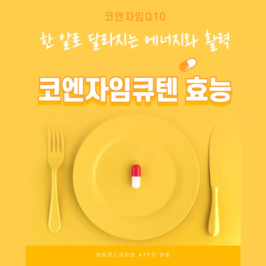 코엔자임큐텐 효능