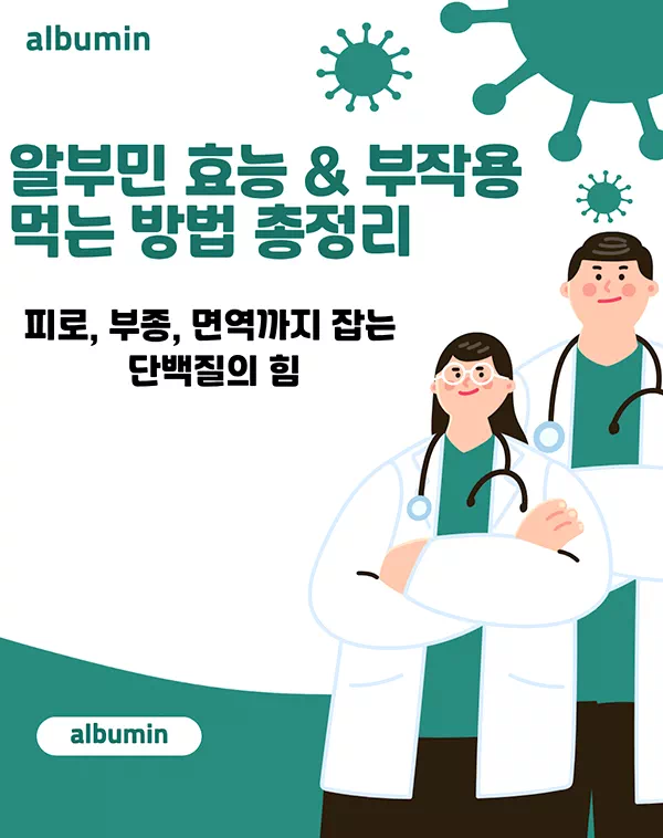 알부민 효능