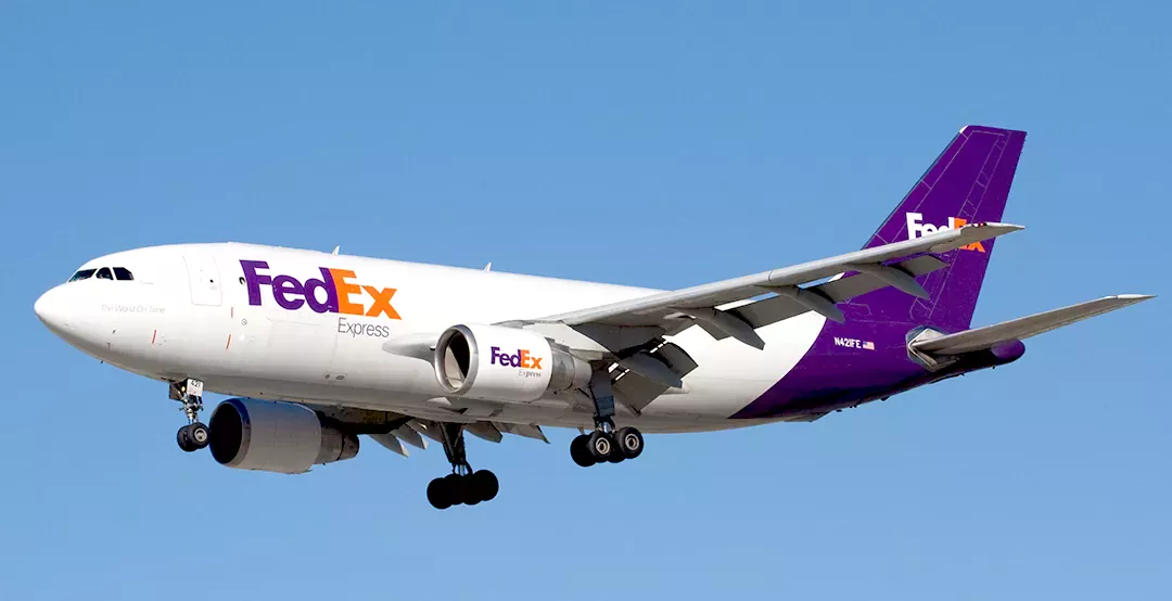 페덱스 배송조회