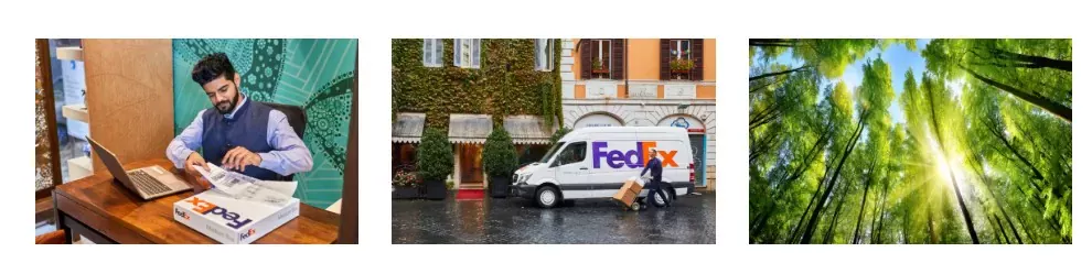 페덱스 배송조회