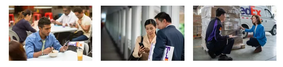 페덱스 배송조회